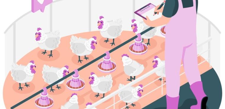 illustration-concept-ferme-poulet_114360-10259